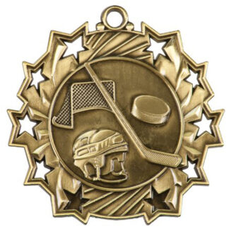 Gold Hockey Ten Star medal, 2.25", hockey stick, puck, net and helmet in the center. Edged with 10 stylized stars.