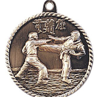 Martial Arts gold medal