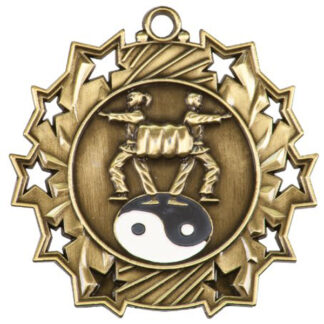 Gold Martial Arts Ten Star, 2.25", female and male fighters and the yin and yang symbol in center with 10 stylized stars on the outer edge.